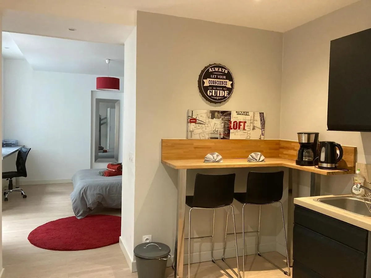 Loft Jean Jaures Apartment Saint-Etienne  France