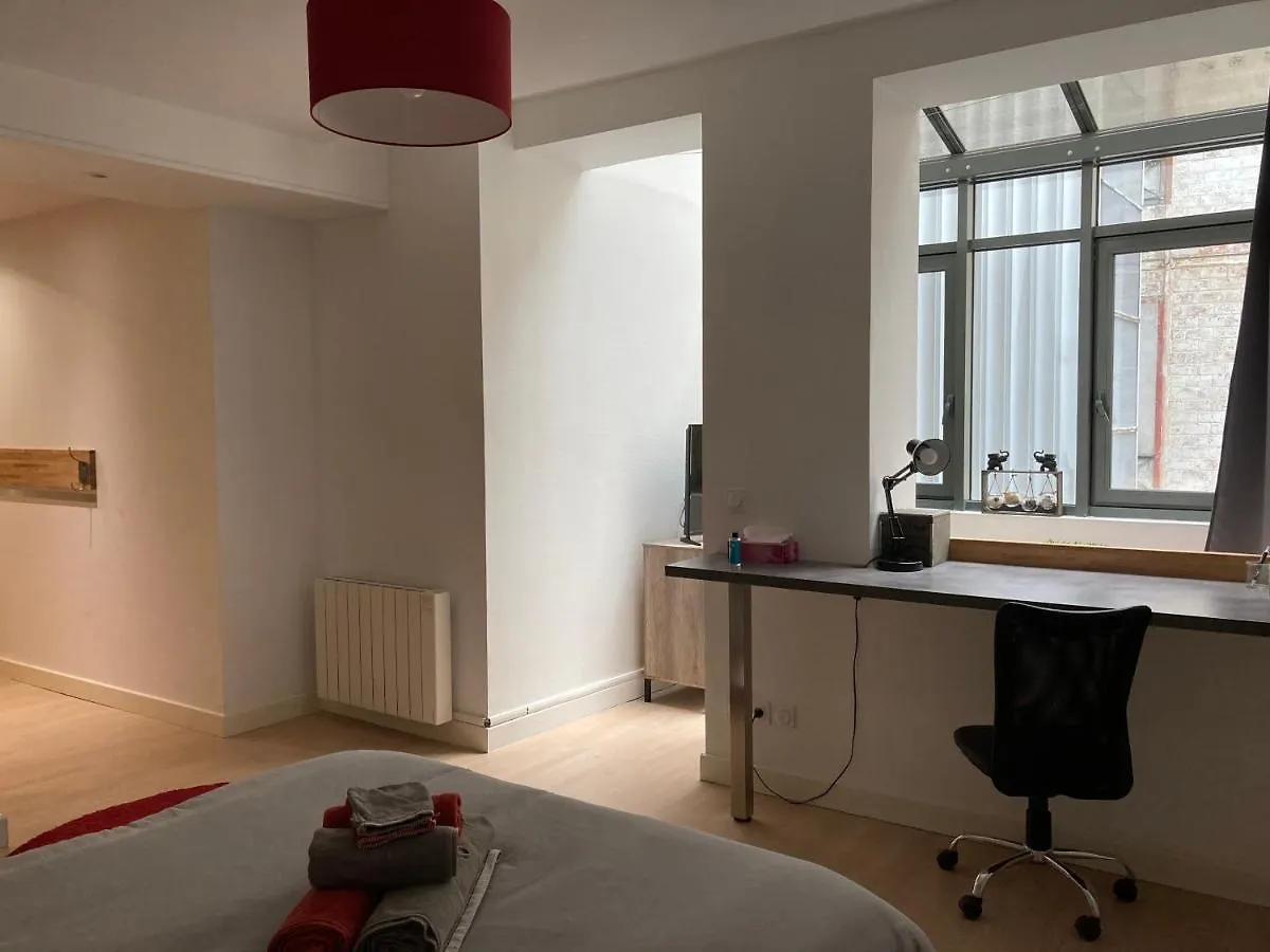 Loft Jean Jaures Apartment Saint-Etienne
