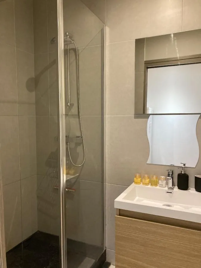 Loft Jean Jaures Apartment Saint-Etienne